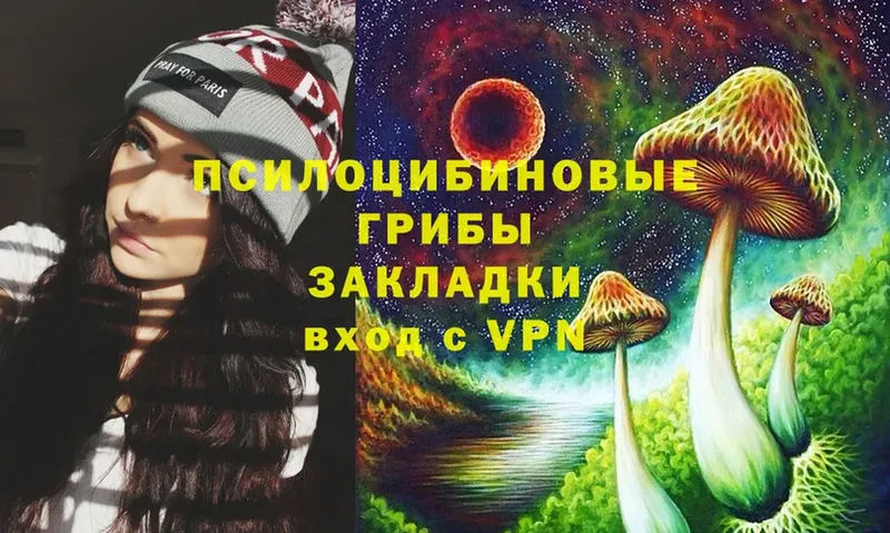 Галлюциногенные грибы Psilocybe  магазин продажи   Иноземцево 